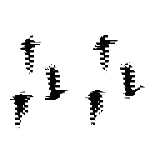 Les Oiseaux de Passage