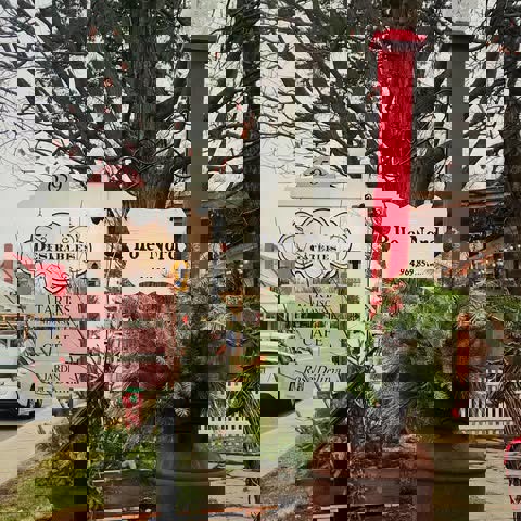Désirables Gâteries