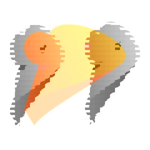 Sushi 111