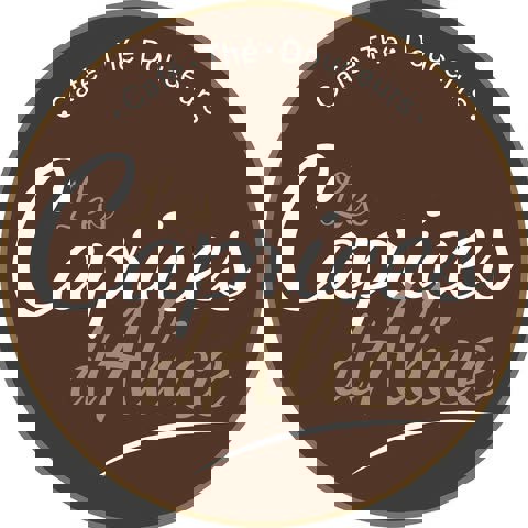 Les Caprices d'Alice - Café Castelo 1av.