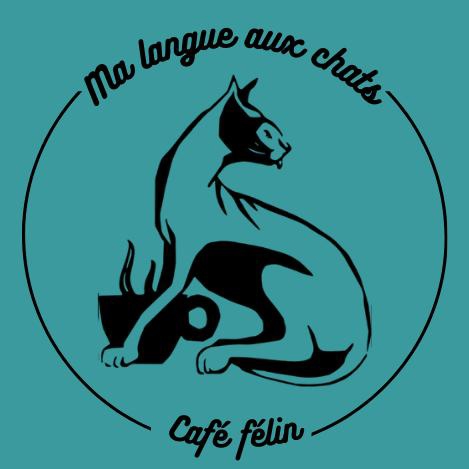 Café Félin Ma Langue Aux Chats | Café à chats | Café-Restaurant | Café Détente à Québec