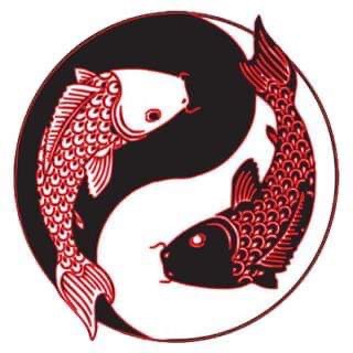 Tom Tom sushi