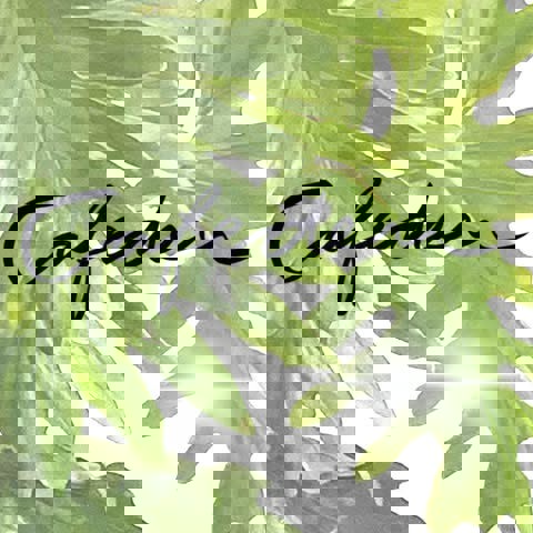 CAFEDEN