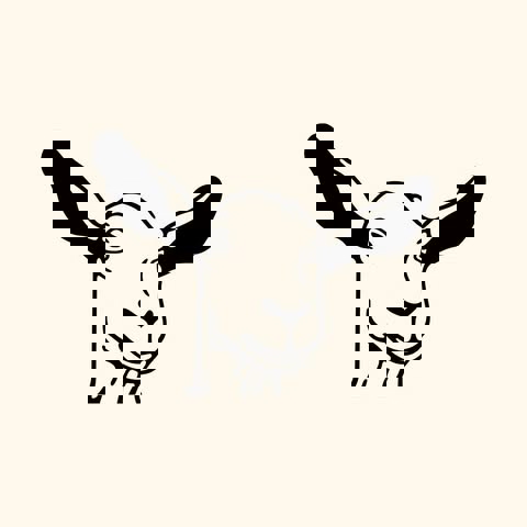 Maison Du Café Happy Goat Coffee Company (Canevas)