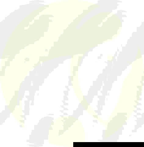 Boonlaï
