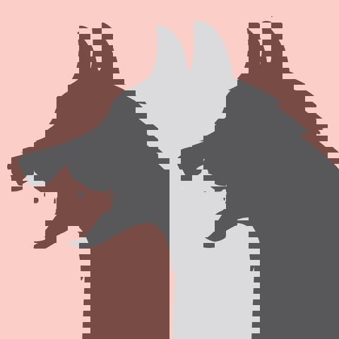 Dans La Gueule Du Loup