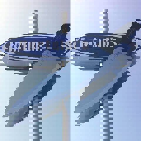Bertoldi's