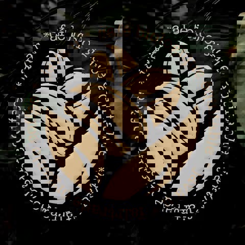 Java u Guy