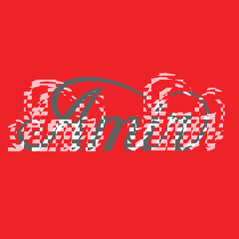 Amir