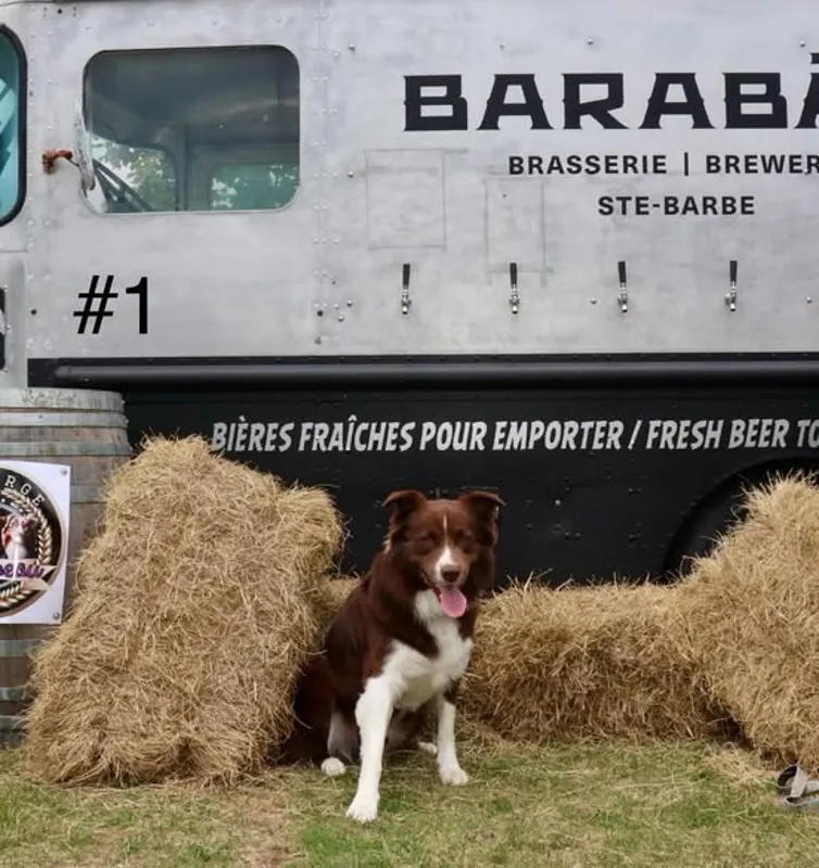 Image concours Barabas - Brasserie