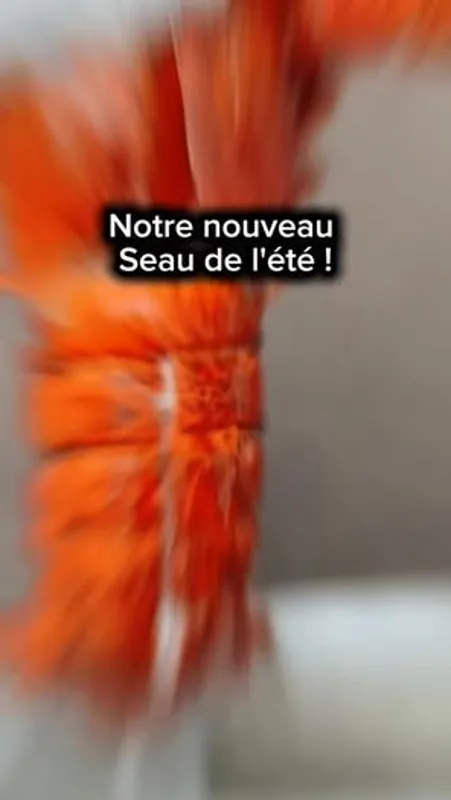 Image contest Seau de Crabe Repentigny