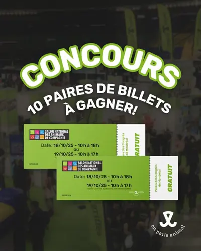 Image contest Pattes et Griffes