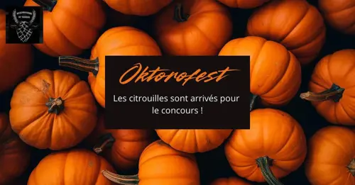 Image concours Microbrasserie du Taureau