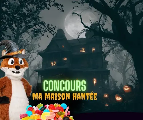 Image concours Café Constantia