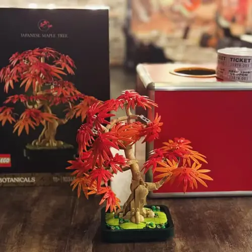 Image contest Sushi Kaëdo