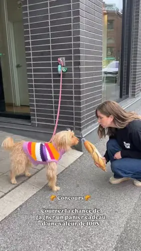 Image contest L'Amour du Pain Vieux-Montréal Maison Pépin
