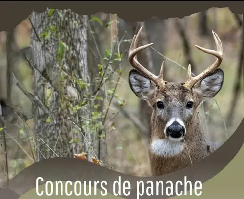 Image concours Resto 212