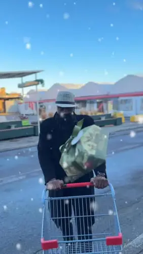 Image contest Capitol Butcher Montreal Ltd