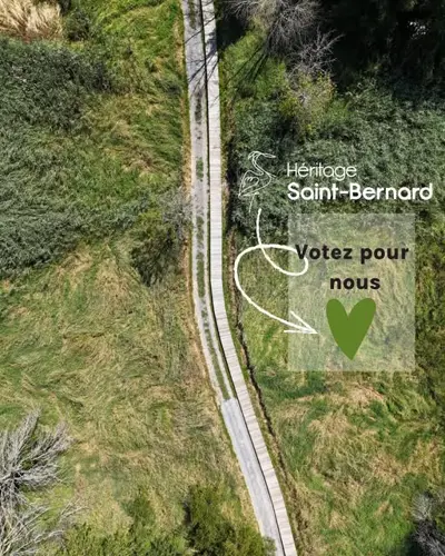 Image contest Café de l'île