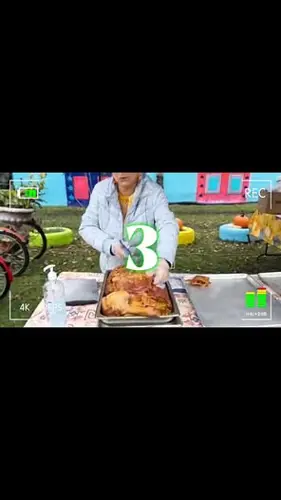 Image concours Arbolandia nuestra tierra