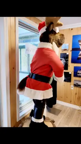 Image contest Restaurant Chez Julie