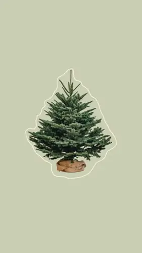 Image concours Les Gamines