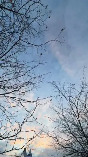 Image contest Café Chez Rose