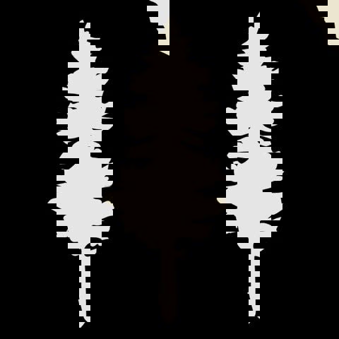 Trécarré Microbrasserie