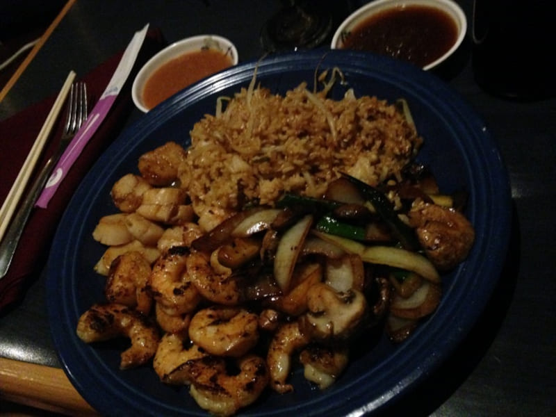 Shogun: a must for fans of Asian cuisine