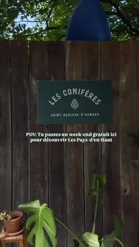 Image événement Les Conifères