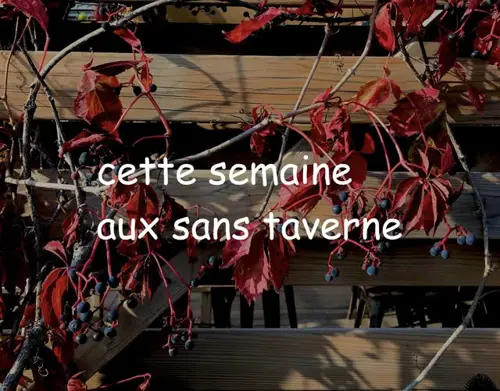 Image event les sans-taverne bar | brasserie artisanale | coop