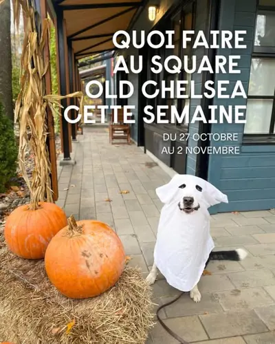 Image event Square Old Chelsea