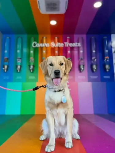 Image event Restaurant Thanh Thảo