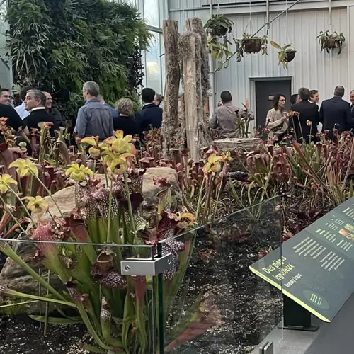 Image Ã©vÃ©nement Bistro Le Nectar