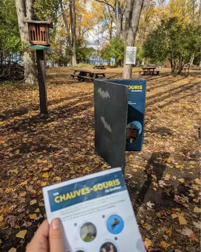 Image Ã©vÃ©nement Café de l'île