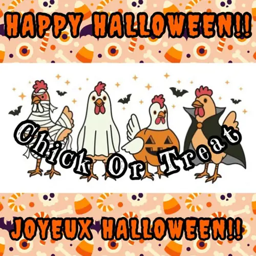 Image Ã©vÃ©nement Chick N Things