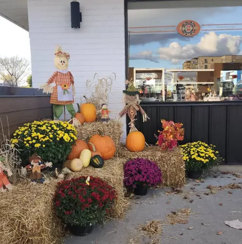 Image event Eggsquis Lévis