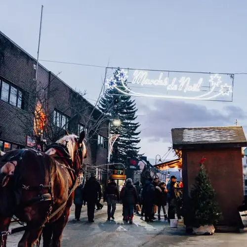 Image event La Rosée, terrasse ensoleillée
