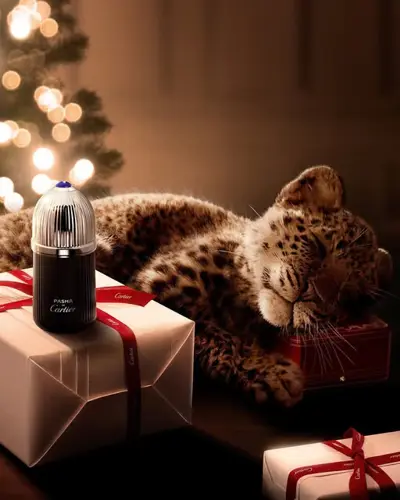 Image event Café Holt | Cuisine contemporaine canadienne