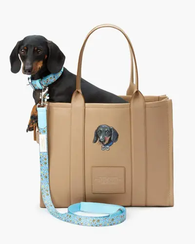 Image event Café Holt | Cuisine contemporaine canadienne