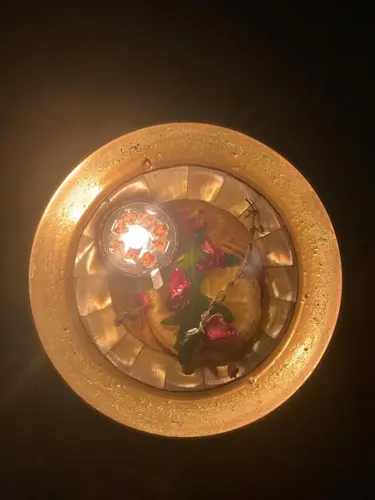 Image event Om Plante