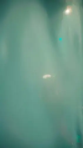 Image Ã©vÃ©nement Yoko Luna