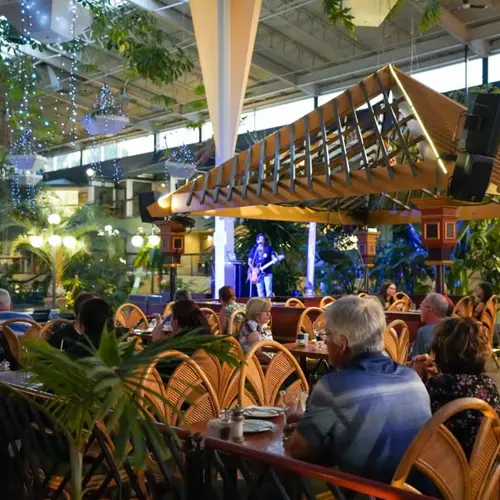 Image event Les Palmes