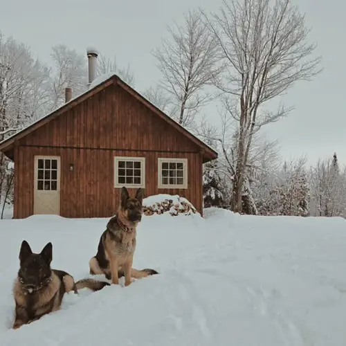 Image Ã©vÃ©nement La cabane du cap rocheux