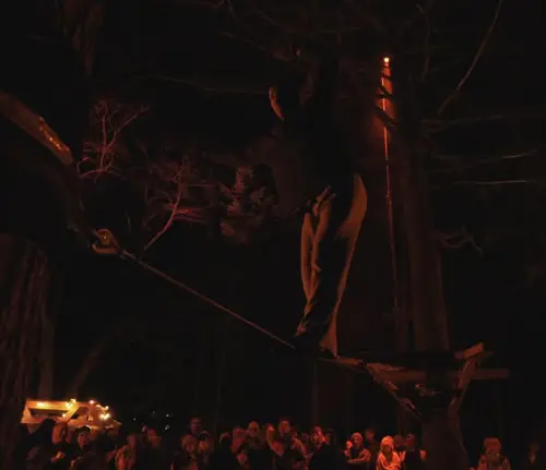 Image Ã©vÃ©nement Albion - Brasserie Artisanale / Salle de Brassage & Salon de Dégustation