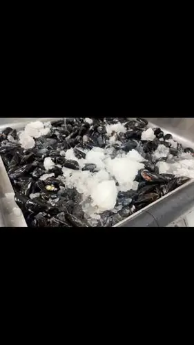 Image Ã©vÃ©nement Cuisine Fusion Météore