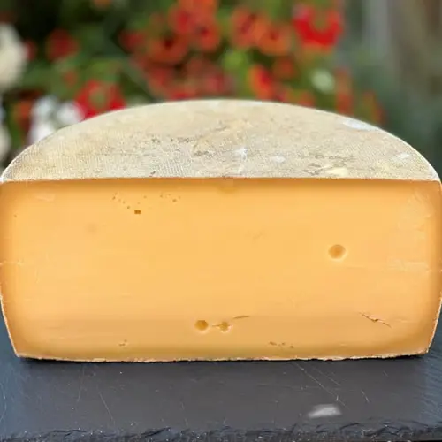 Image Ã©vÃ©nement Yannick Fromagerie Québec