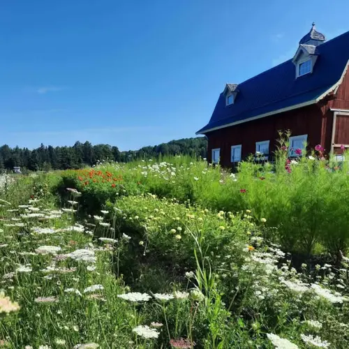 Image Ã©vÃ©nement KAAPEH