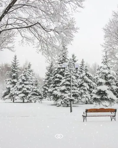 Image event RENOIR Restaurant