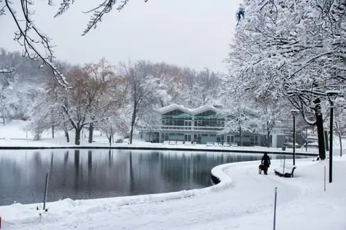 Image event Café des Amis - Pavillon du Lac-aux-Castors